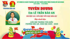 HỘI ĐỒNG ĐỘI PHƯỜNG HÒA LỢI TUYÊN DƯƠNG LIÊN ĐỘI TRƯỞNG TIÊU BIỂU